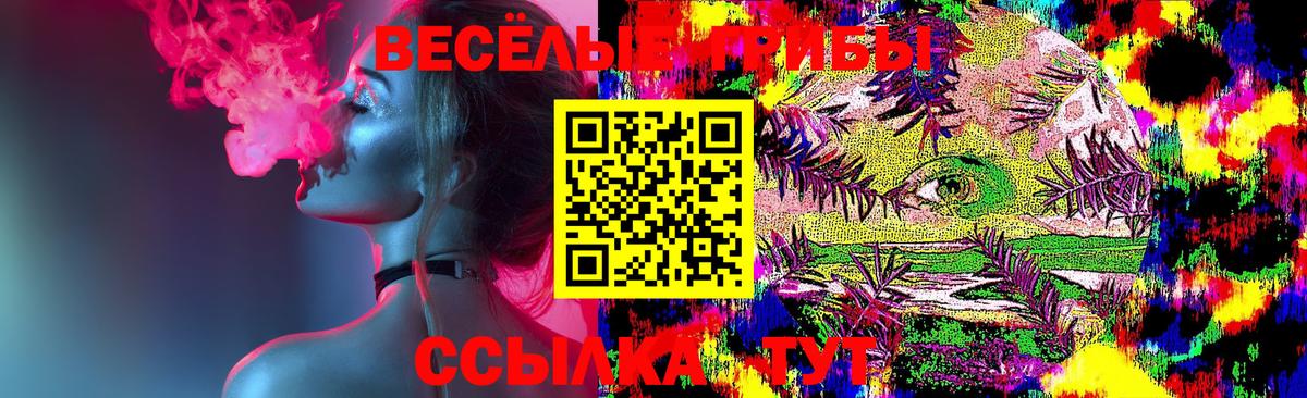 Галлюциногенные грибы прущие грибы Новодвинск