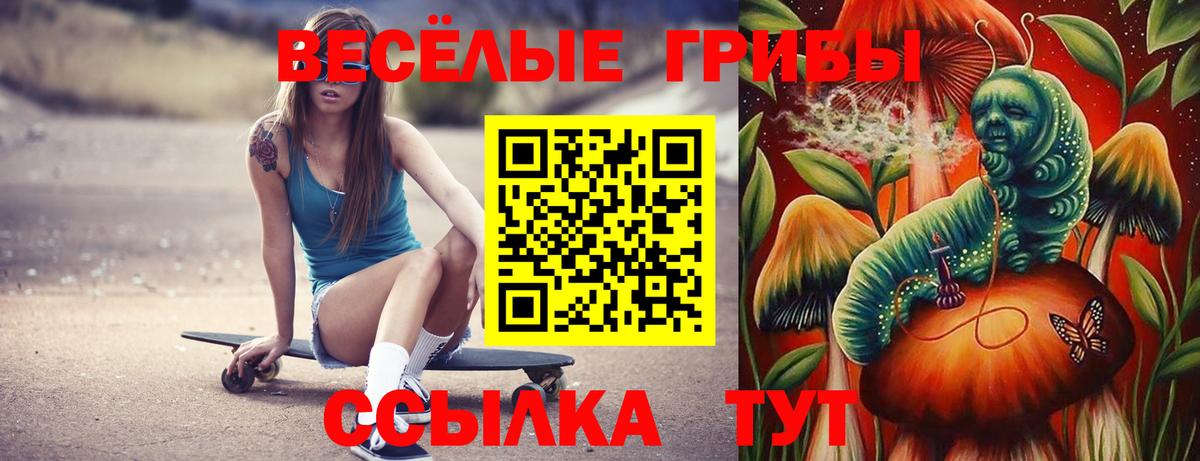 Галлюциногенные грибы Psilocybine cubensis  купить наркотик  Новодвинск  Вход с VPN 
